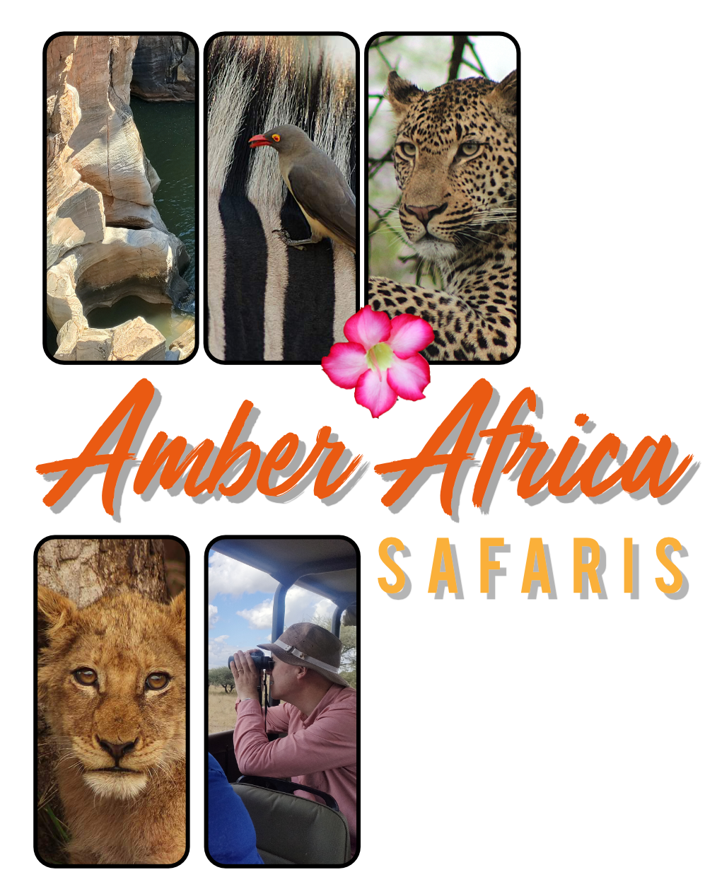 Safaris to Kruger National Park or Lowveld Escarpment, starting from