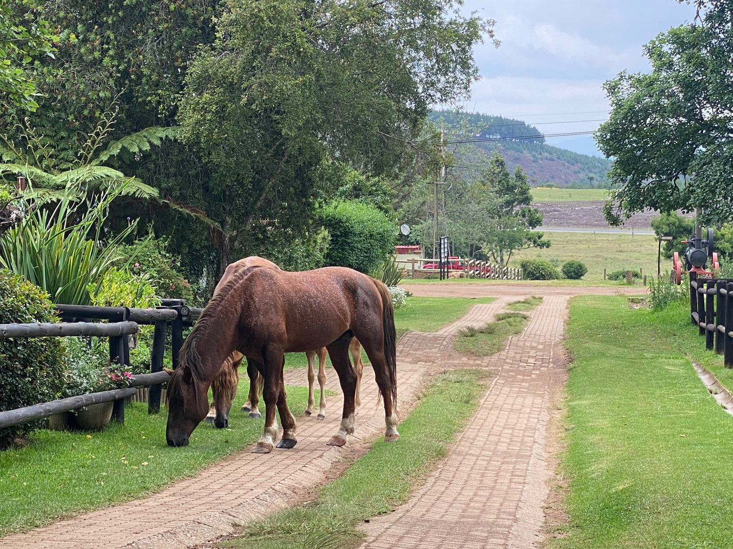 Visit Kaapsehoop