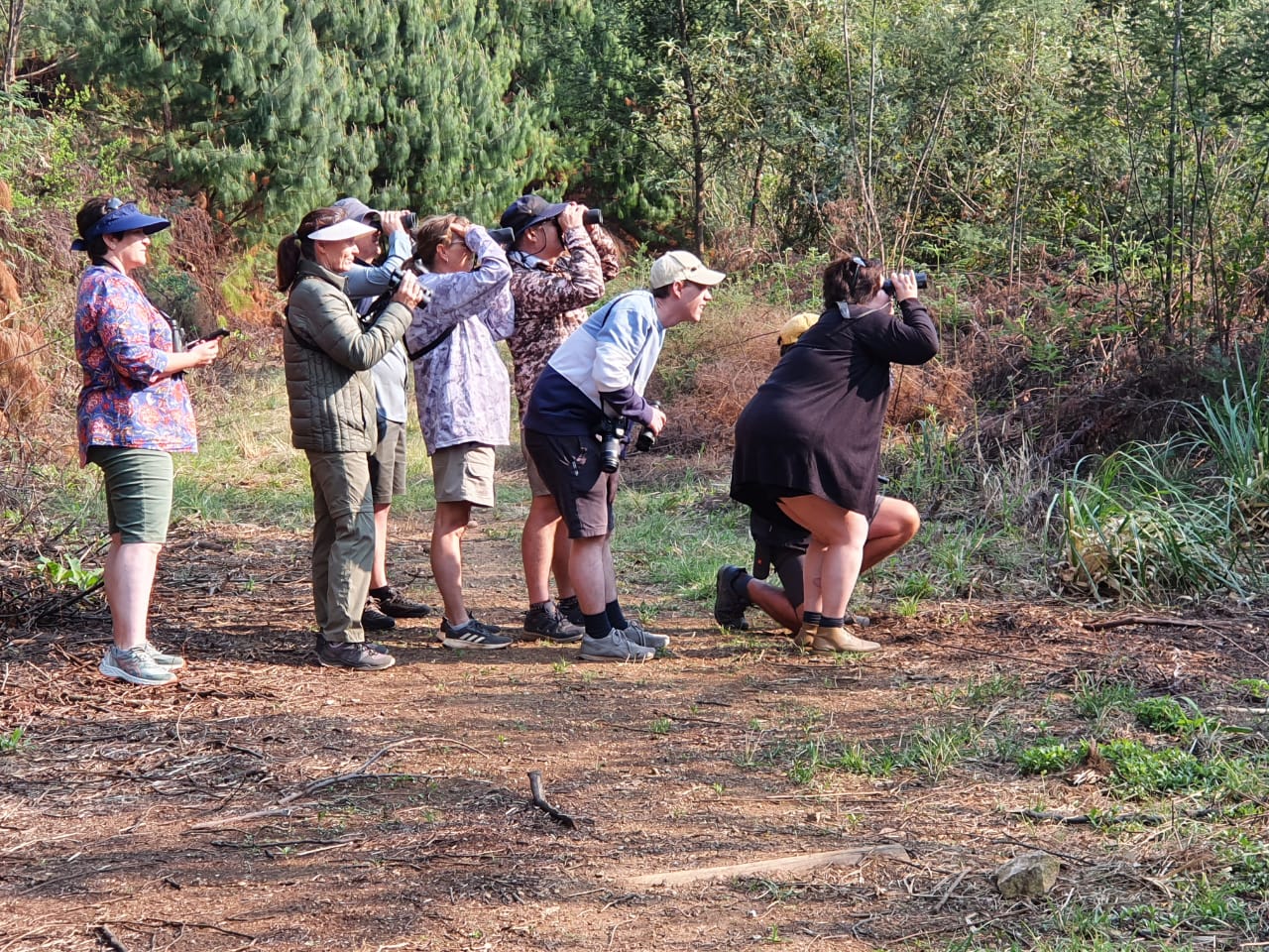 Johan Gouws Birding, starting from