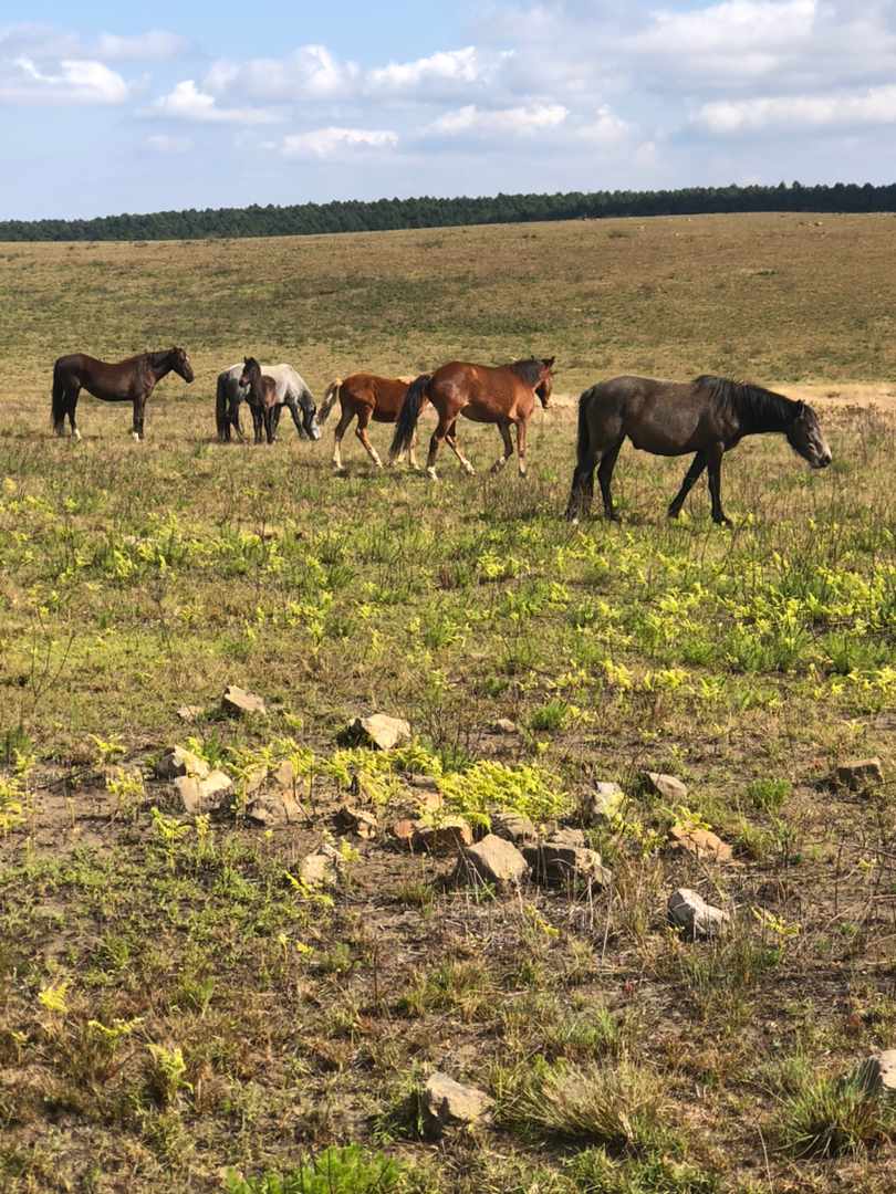 Sacred Sites: Adams Calender, starting from